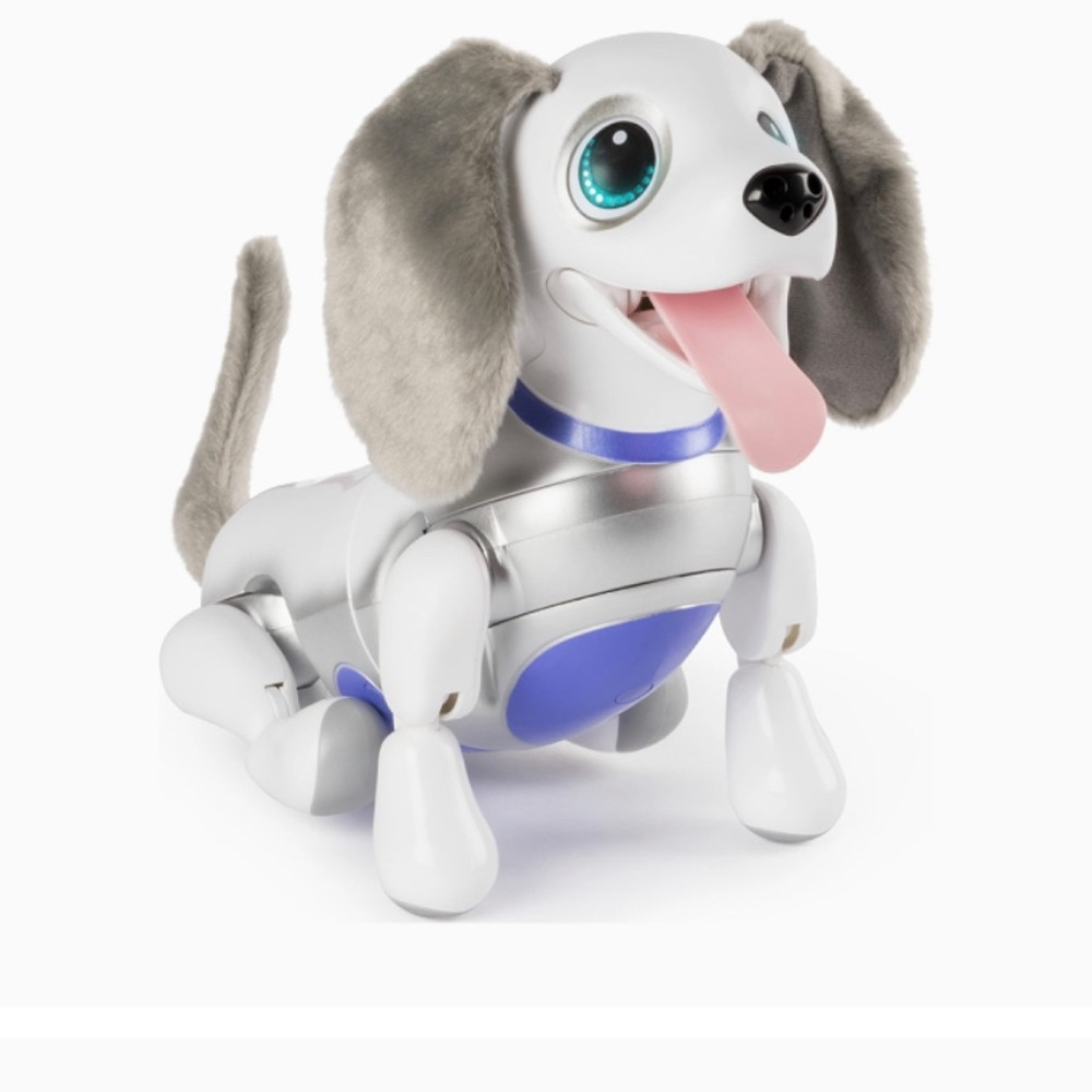 ISO Zoomer Playful Pup